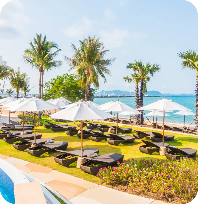 חוף ים עם מיטות שיזוף ושמשיות לבנות, דקלים וים תכלת ברקע - חיפה